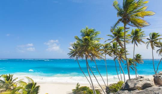 Get Weed in Barbados