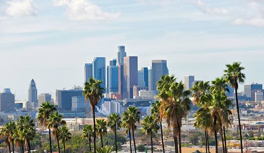 Buy Weed in Los Angeles